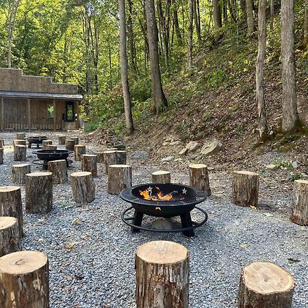 Cozy Cove Retreat W Lake View Hot Tub Firepit Dandridge Bagian luar foto