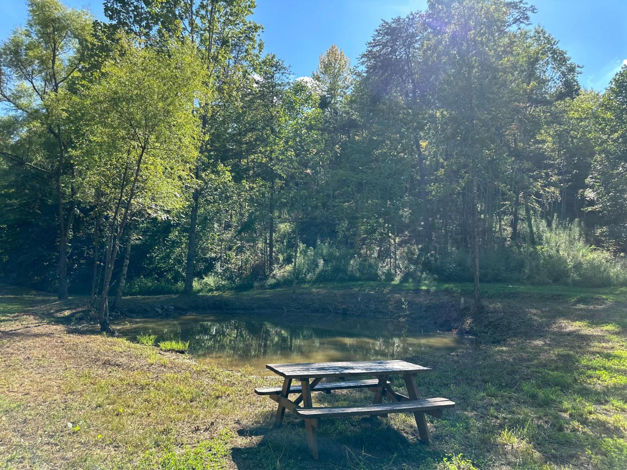 Cozy Cove Retreat W Lake View Hot Tub Firepit Dandridge Bagian luar foto